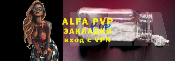 индика Россошь
