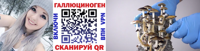 Псилоцибиновые грибы GOLDEN TEACHER  где купить   Бикин 